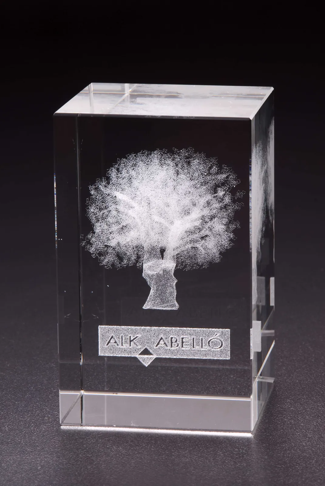 Grabación Vidrio En 3D